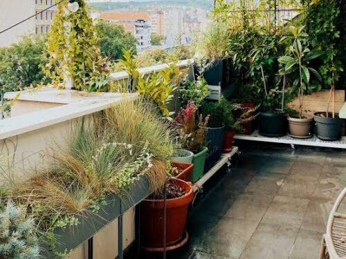 How to Design a Small Balcony Garden in Urban Homes