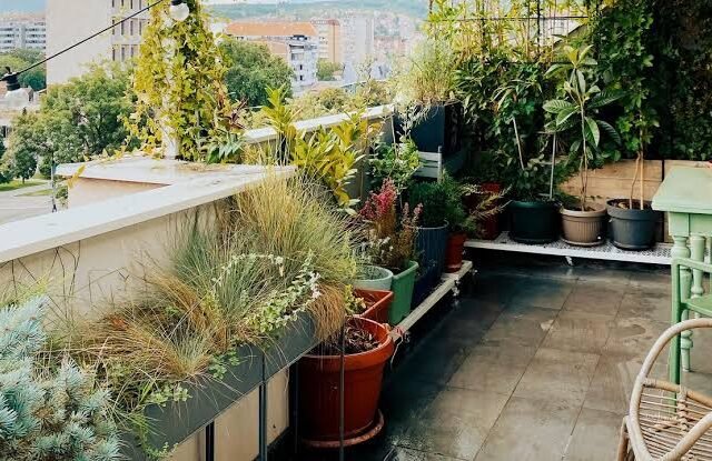 balcony garden