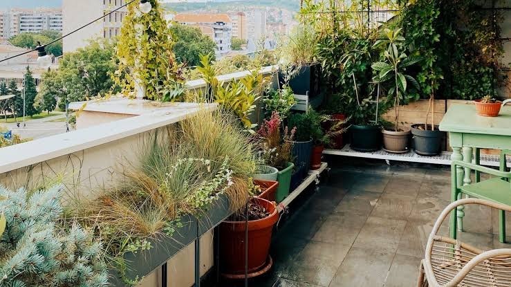 balcony garden