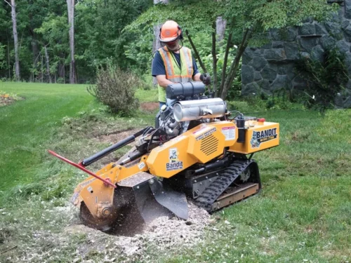 Stump Grinding in Fuller Heights, FL: Restore Your Yard After Tree Removal