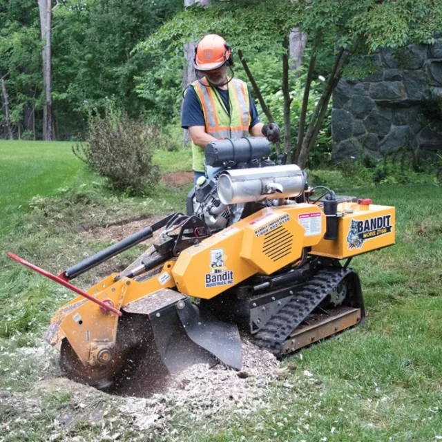 stump grinding in Fuller Heights, FL 