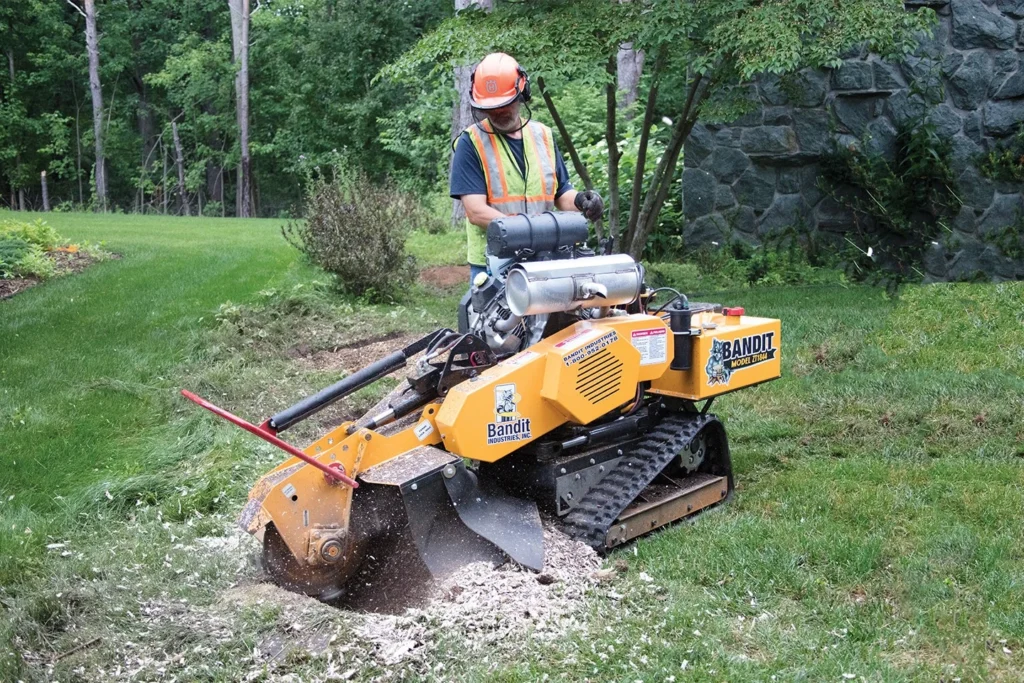 stump grinding in Fuller Heights, FL 